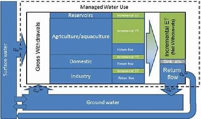 Common Issues Faced During Interwetten Withdrawal Process and How to Resolve Them