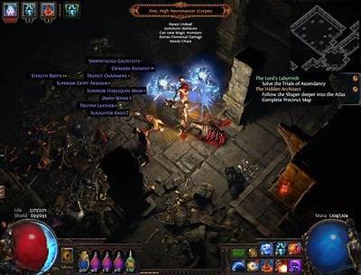 Exploring the Cursed Crypt in Path of Exile: Tips, Tricks, and Best Strategies to Succeed