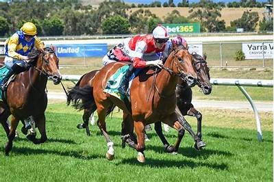 Explore Exciting Opportunities in Horse Racing Betting for Maximum Winnings Today