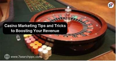 Exploring the Exciting World of Casino Betting Strategies and Tips for Success