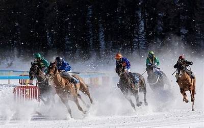 Explore Exciting Opportunities in Horse Racing Betting for Maximum Winnings Today