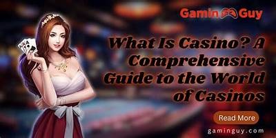 Comprehensive Review of Willbet Casino: Features, Games, and Bonuses Explained